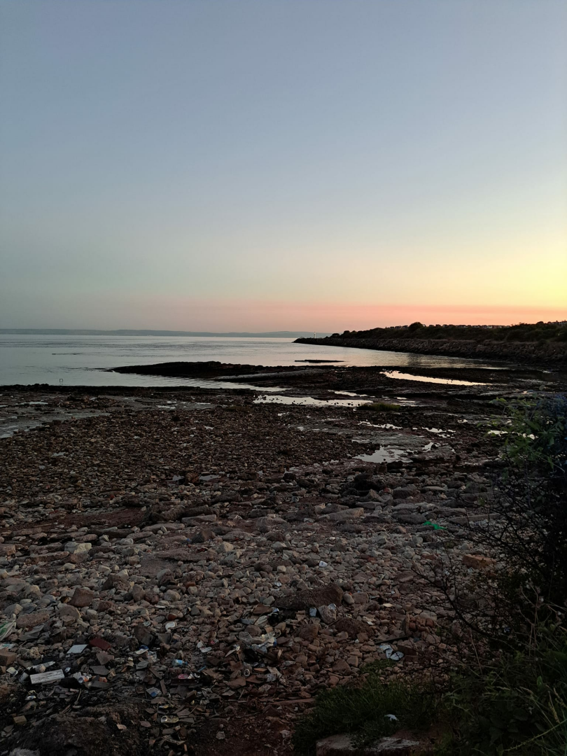 Blue Bombers Pre Season Games